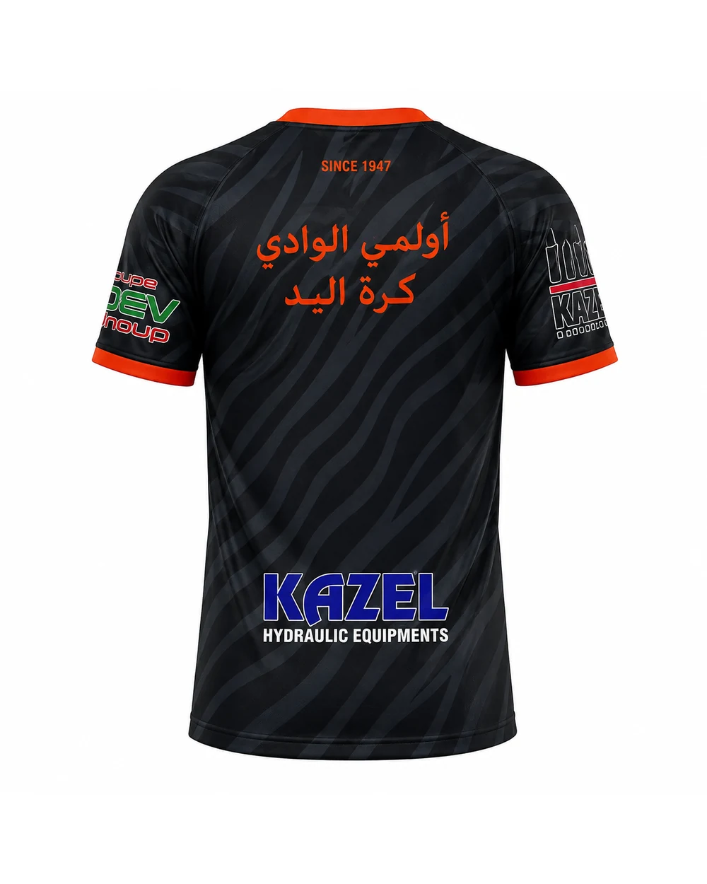 منظر خلفي