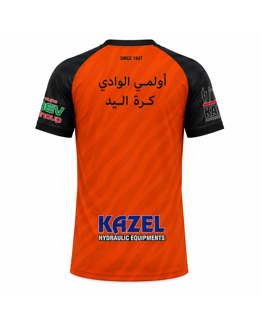 منظر خلفي
