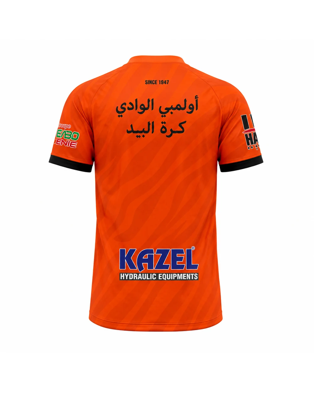 منظر خلفي